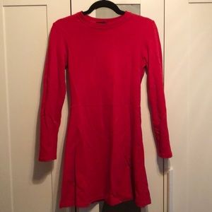 NWT Zara skater dress